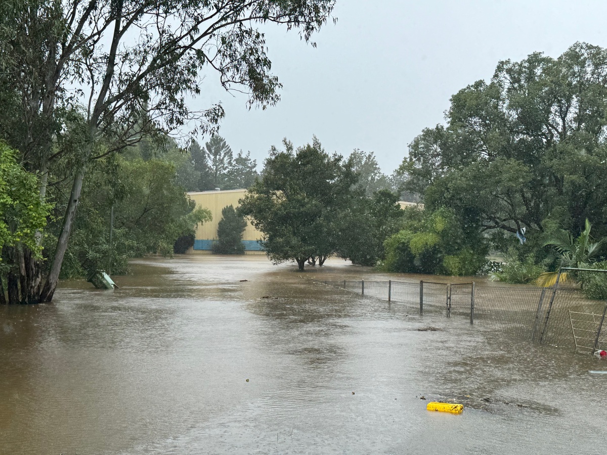 Lismore finally gets a business grant from Alfred, but....