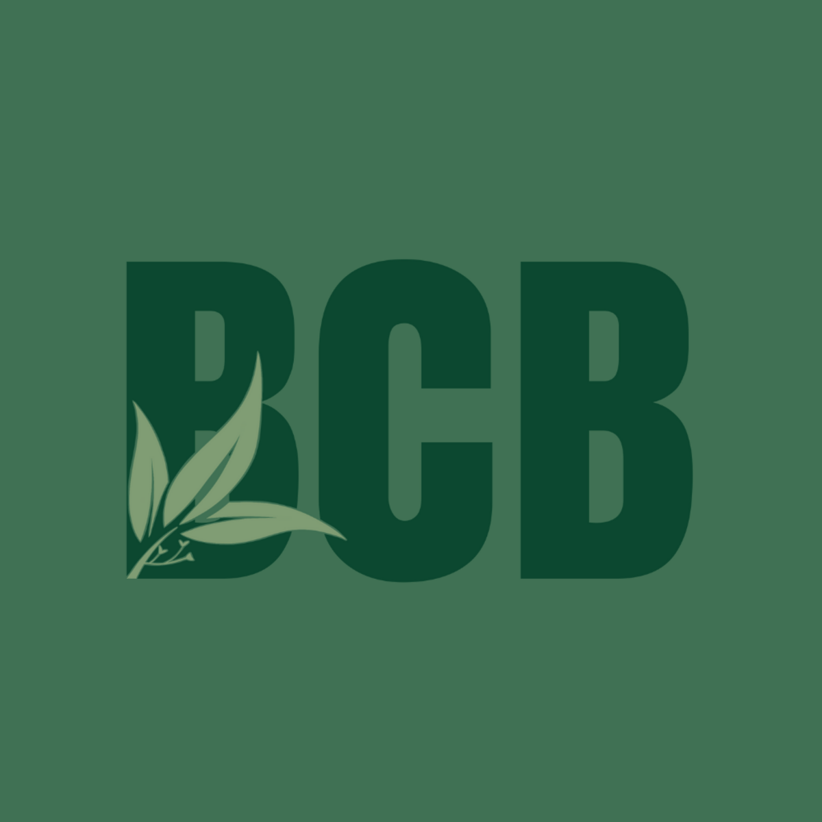 Back Country Bulletin App: Eight Months of Bringing Rural Australia to Your Fingertips