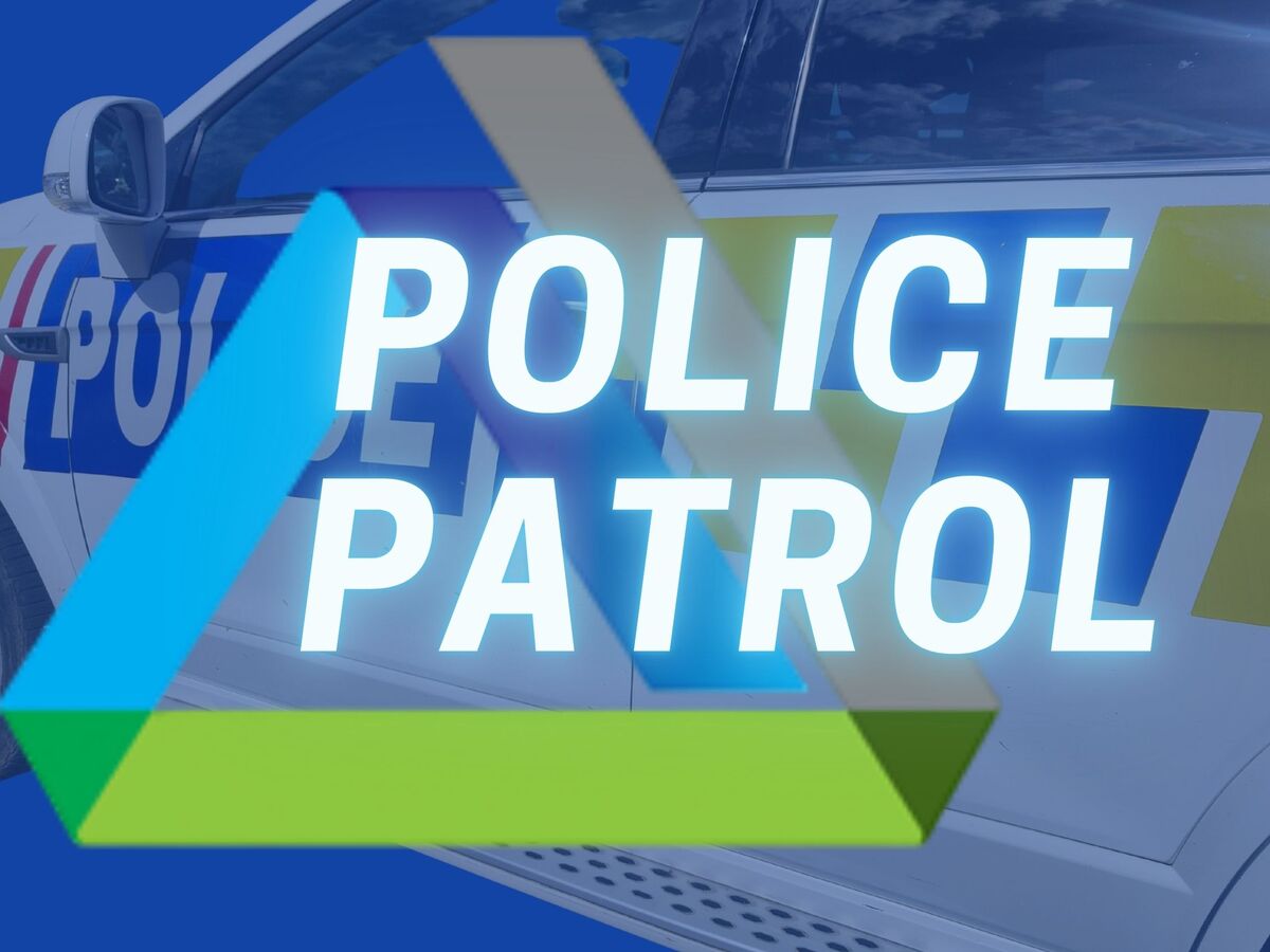 Police Patrol: girl racer, accidents, bulls & speedsters