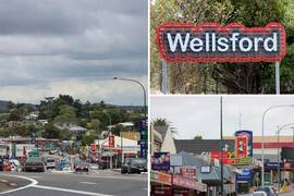 Wellsford some historical stories