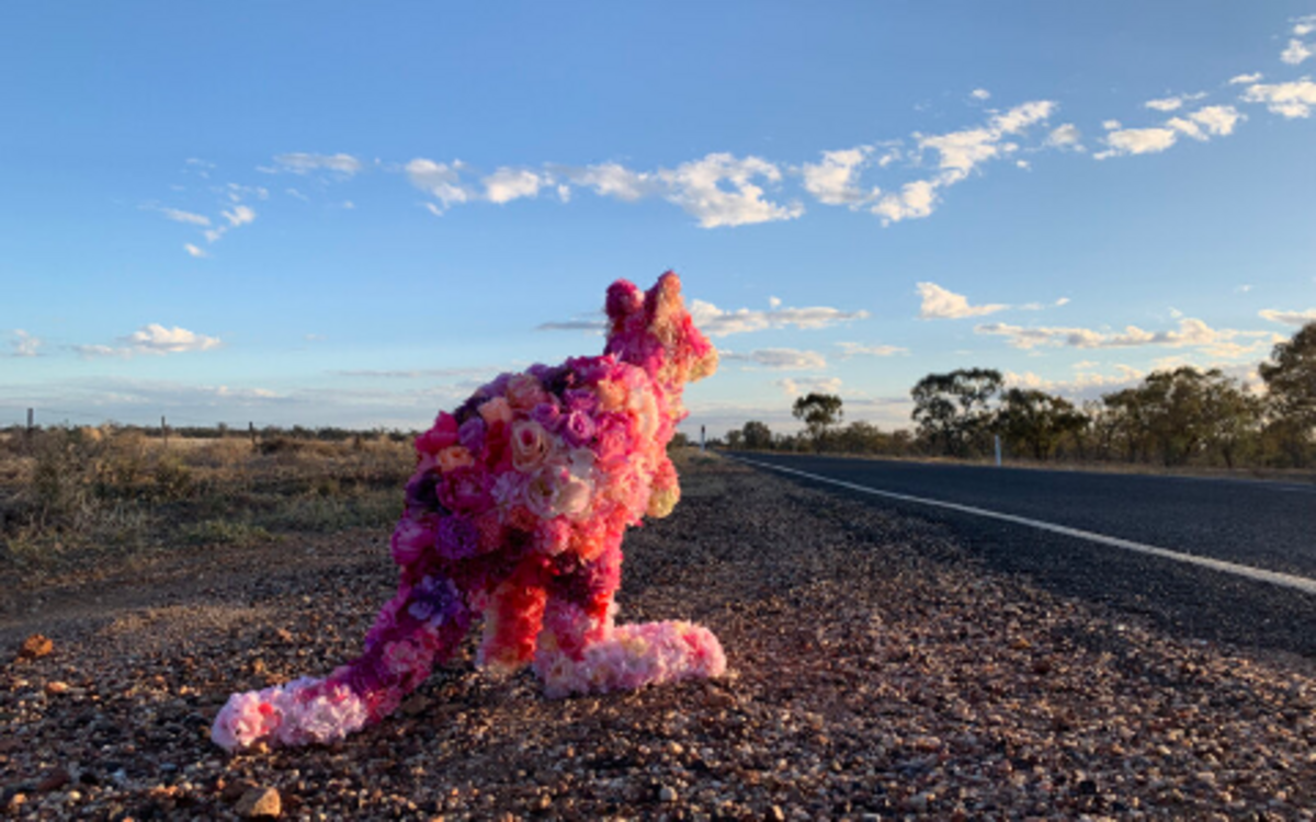 Indigenous heartbeat at centre of OpenField Arts Festival