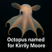 From Balranald to the Deep: An Octopus Named for a Riverland Hero