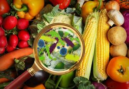 Warning Over Life-Threatening Food Bug