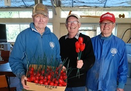 Wooden tulips raise funds and awareness for Parkinson's in tough times