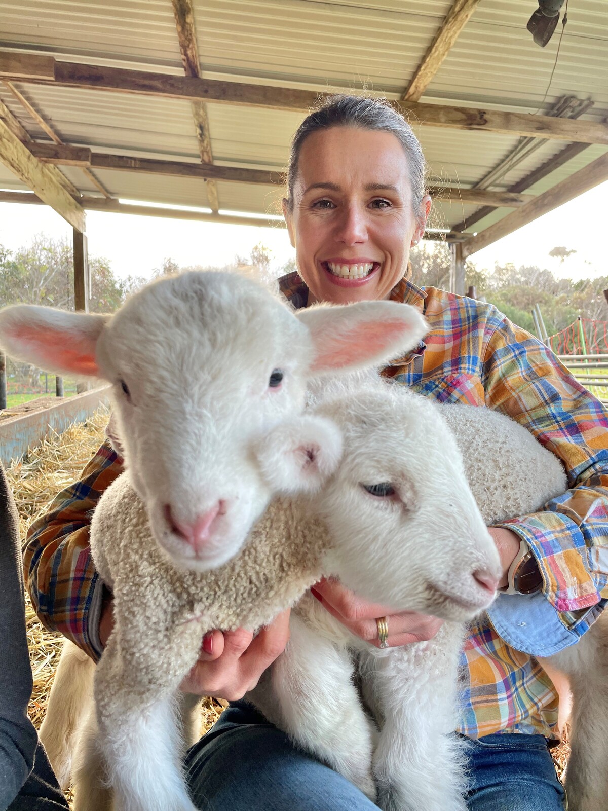 Rural romance Author Maya Linnell brings stories  of love and second chances to Hay library
