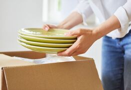 More Kiwis Making the Move South