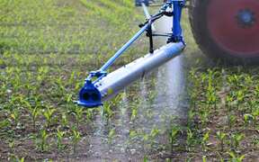Glyphosate to be debated in High Court