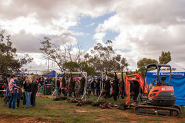 Ivanhoe Pig Comp clears up ferals
