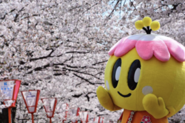 Yamato Takada Student Exchange Program continues in 2025