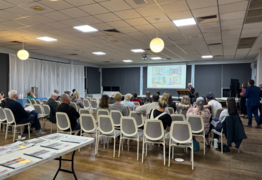 Every house is sold in RA's first buyback auction