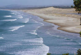 Mangawhai sandspit loses over 420,000 tonnes of sand, raising concerns for its future