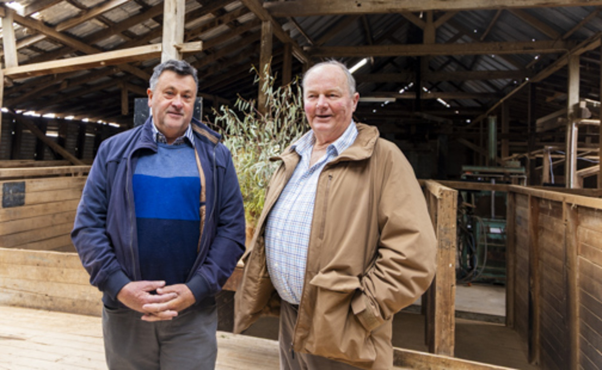 Toganmain woolshed celebrates 150 years
