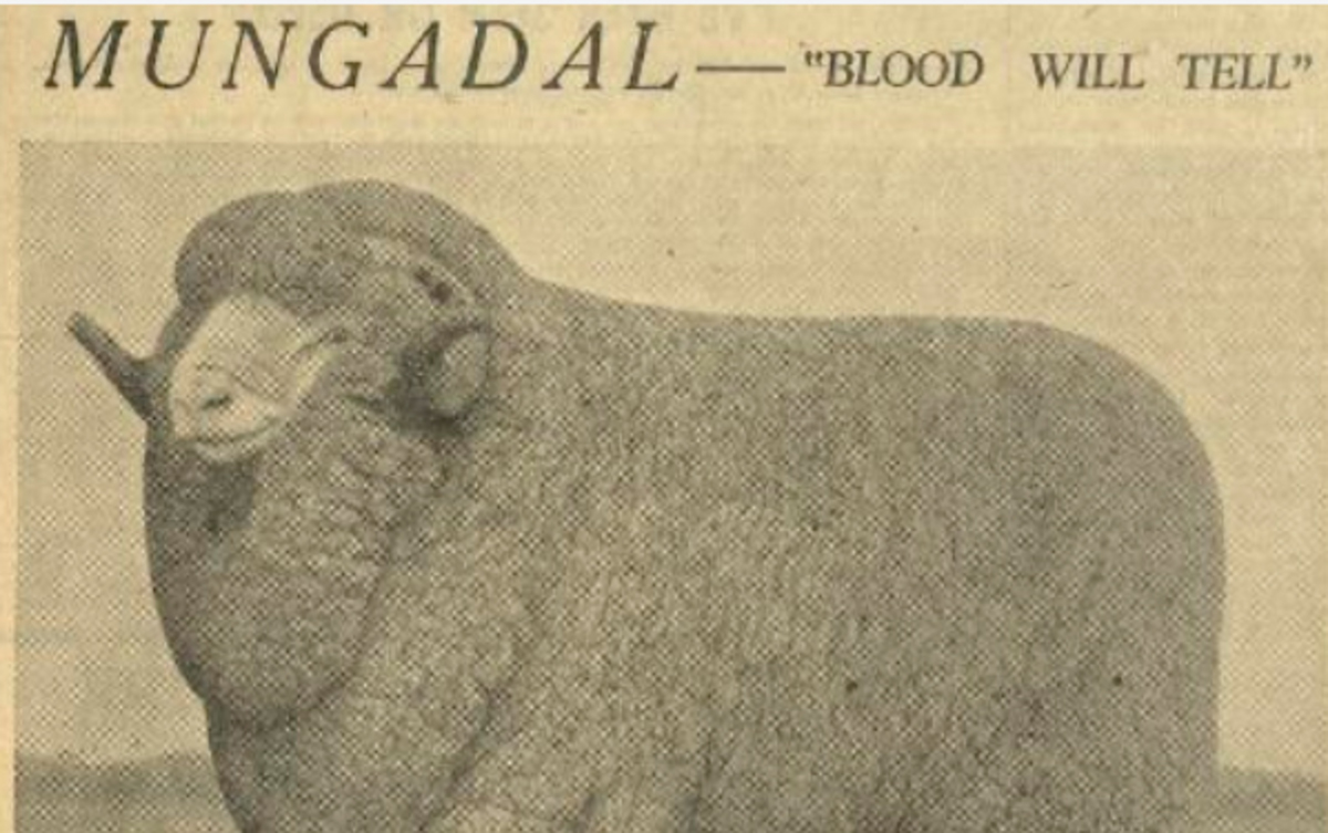 Celebrating 160 years of Mungadal Station: Part One