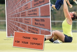 Molyneux turf fundraiser building brick by brick