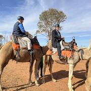 Roy Butler MP hits the road with Minister for Local Government riding camels and visiting locals