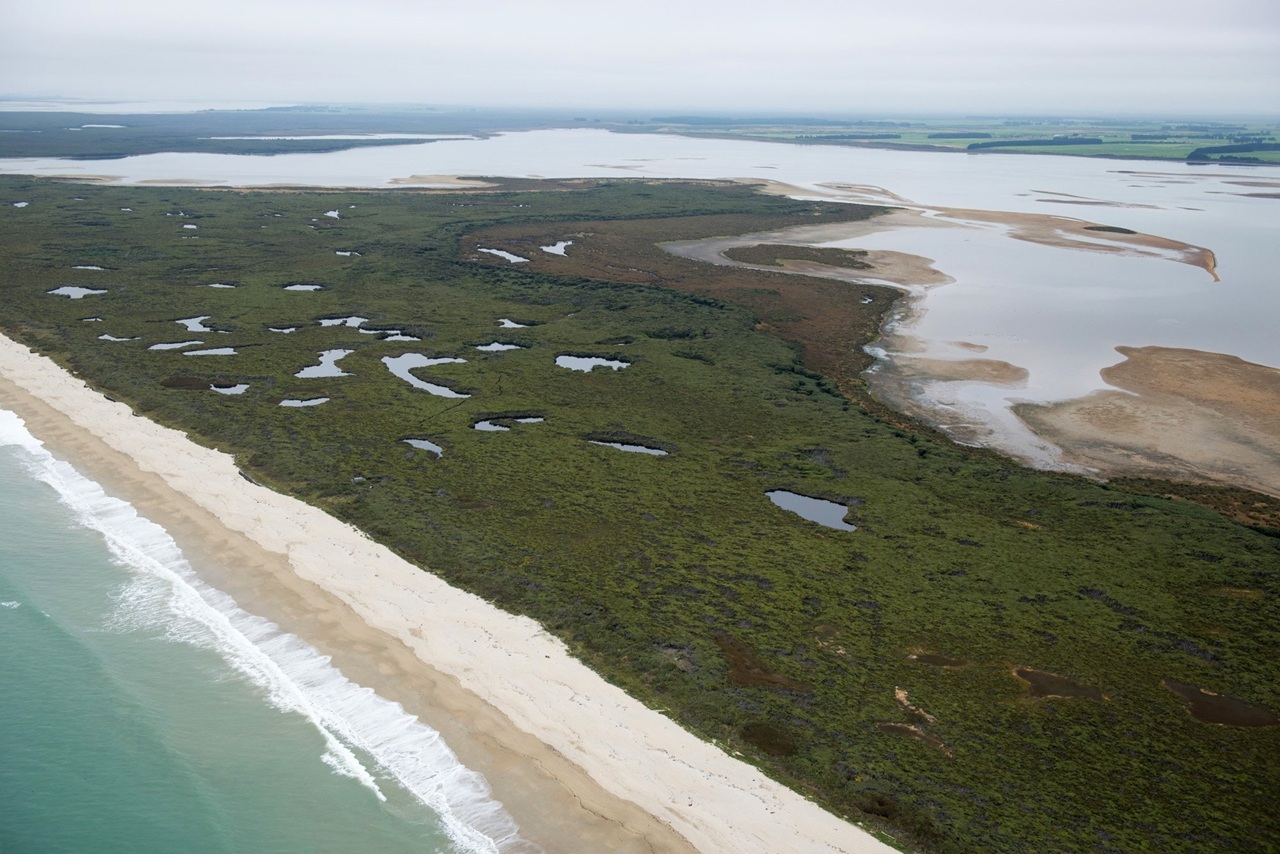 Hearing set for acclaimed algae-plagued lagoon