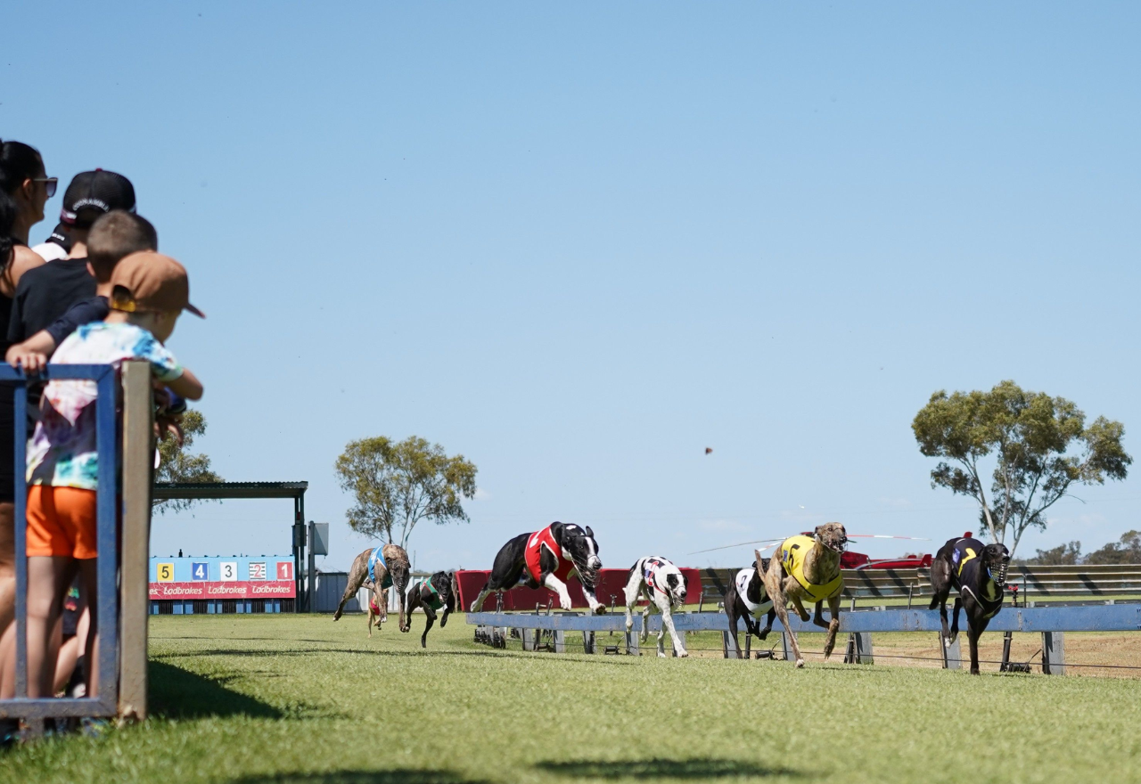 Greyhound Racing NSW slams the door on Coonamble Carnival