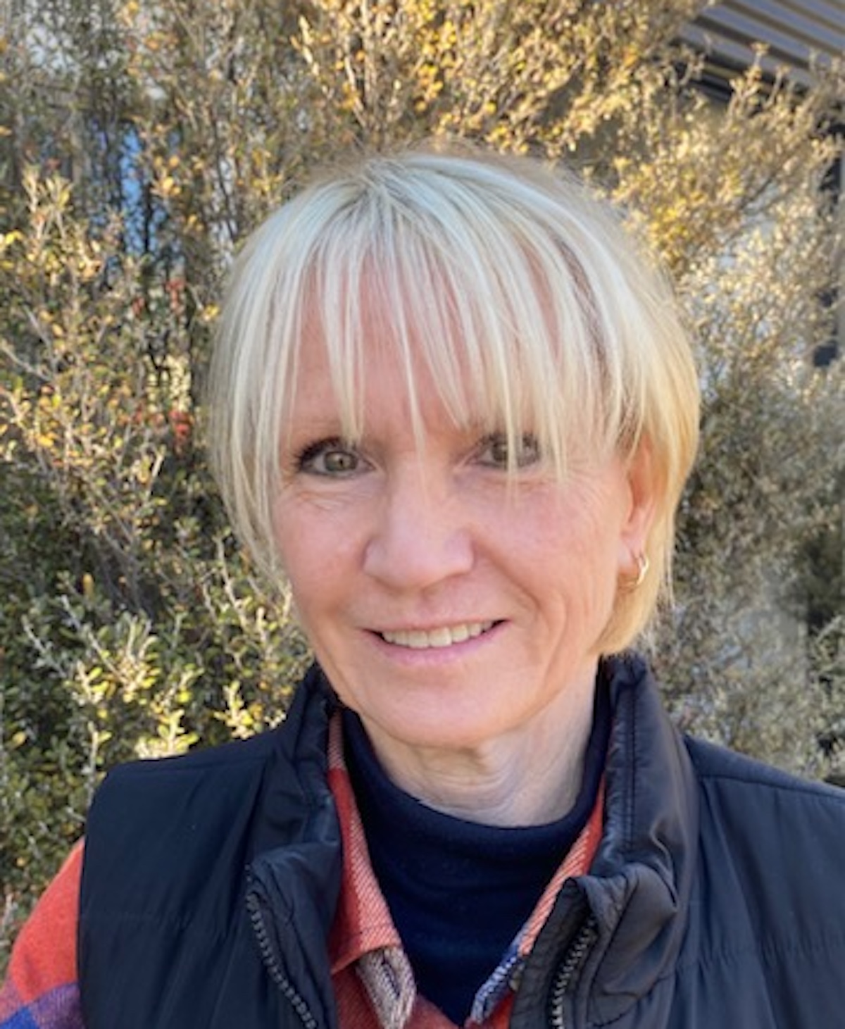 Election Q+A with Cheryl Laws