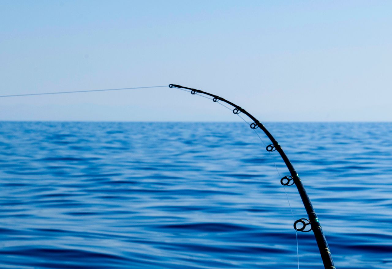 Coasties Urged to Speak Up on Fishing