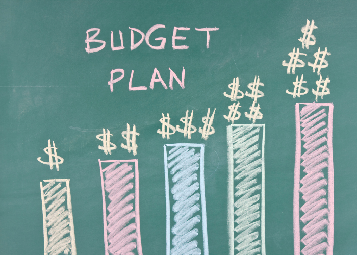 The NSW Budget and the bush
