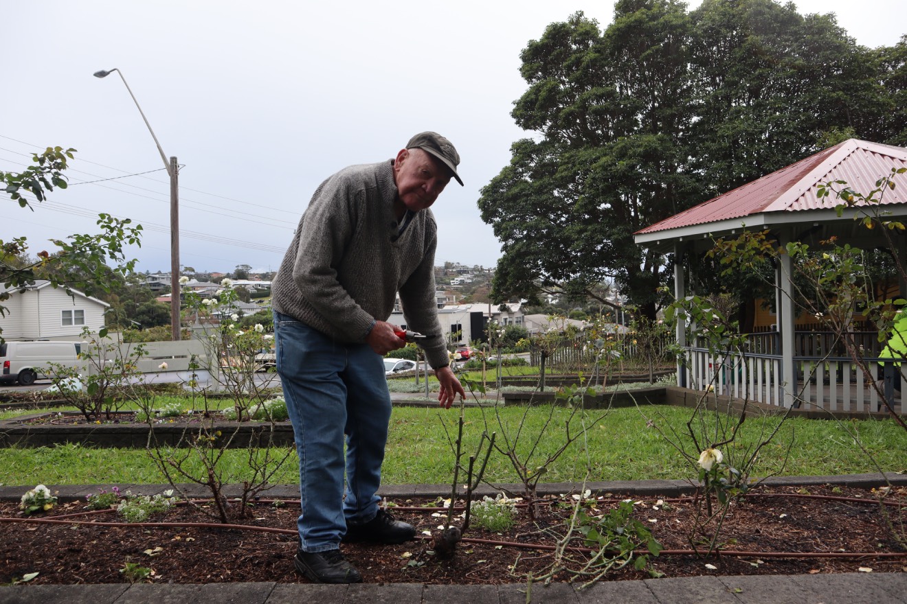 A rose in the hand is better than two in the bush