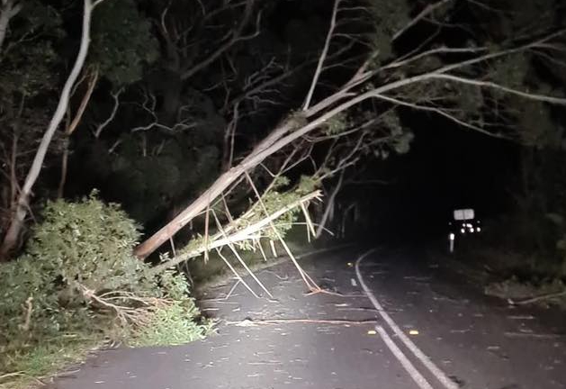 SES issues severe weather warning for Illawarra