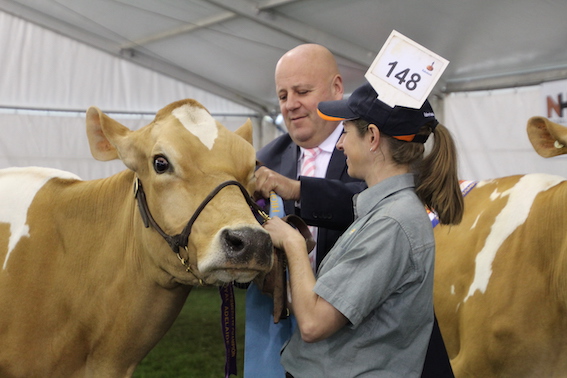 MP celebrates World Milk Day 