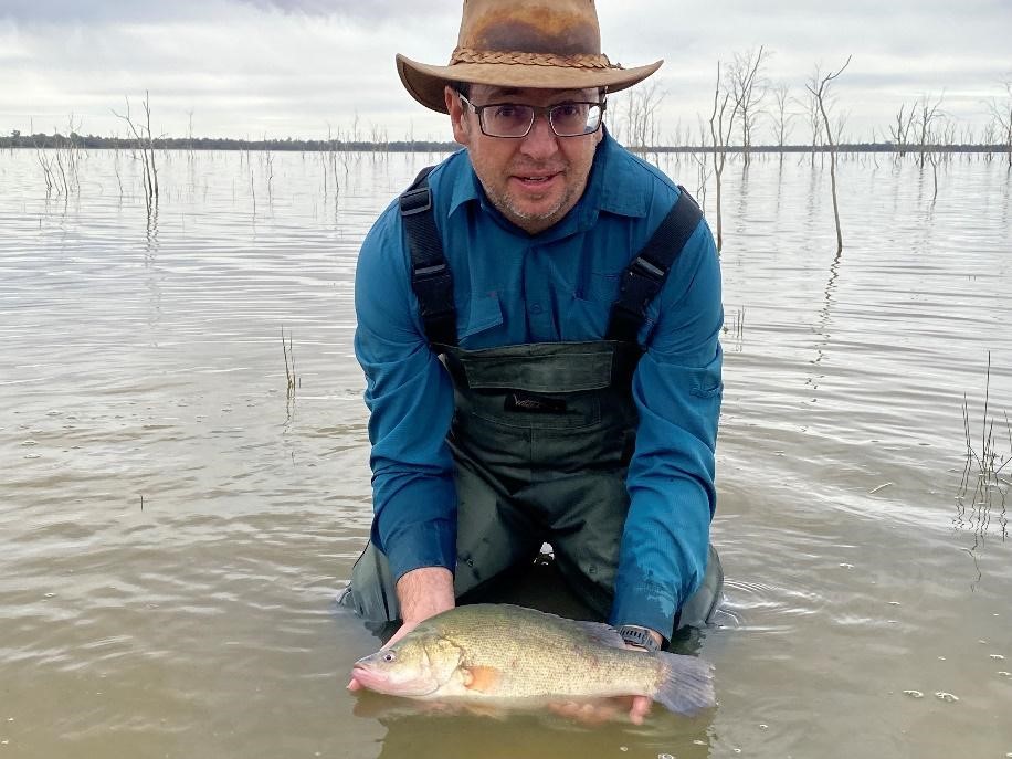 Lower Bidgee lakes: looking back and looking forward