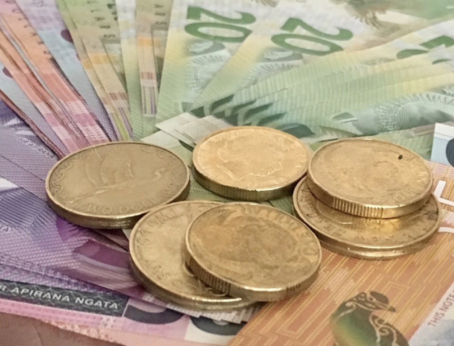 Rates increase ‘burdening ratepayers’ - councillor
