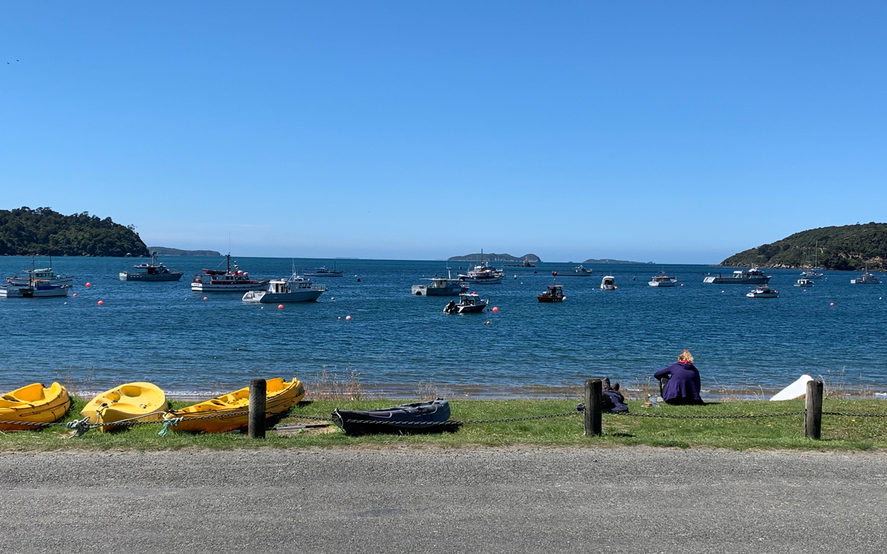 Black-market sales net Southland commercial fishers