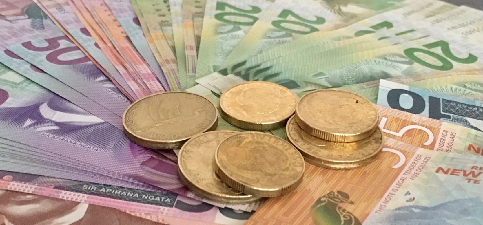 ORC halves forecast rate rise in Annual Plan