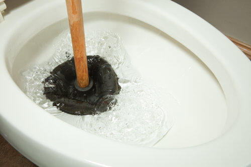  Griffith City Council delivers timely reminder to all: be mindful of what you flush down the toilet.