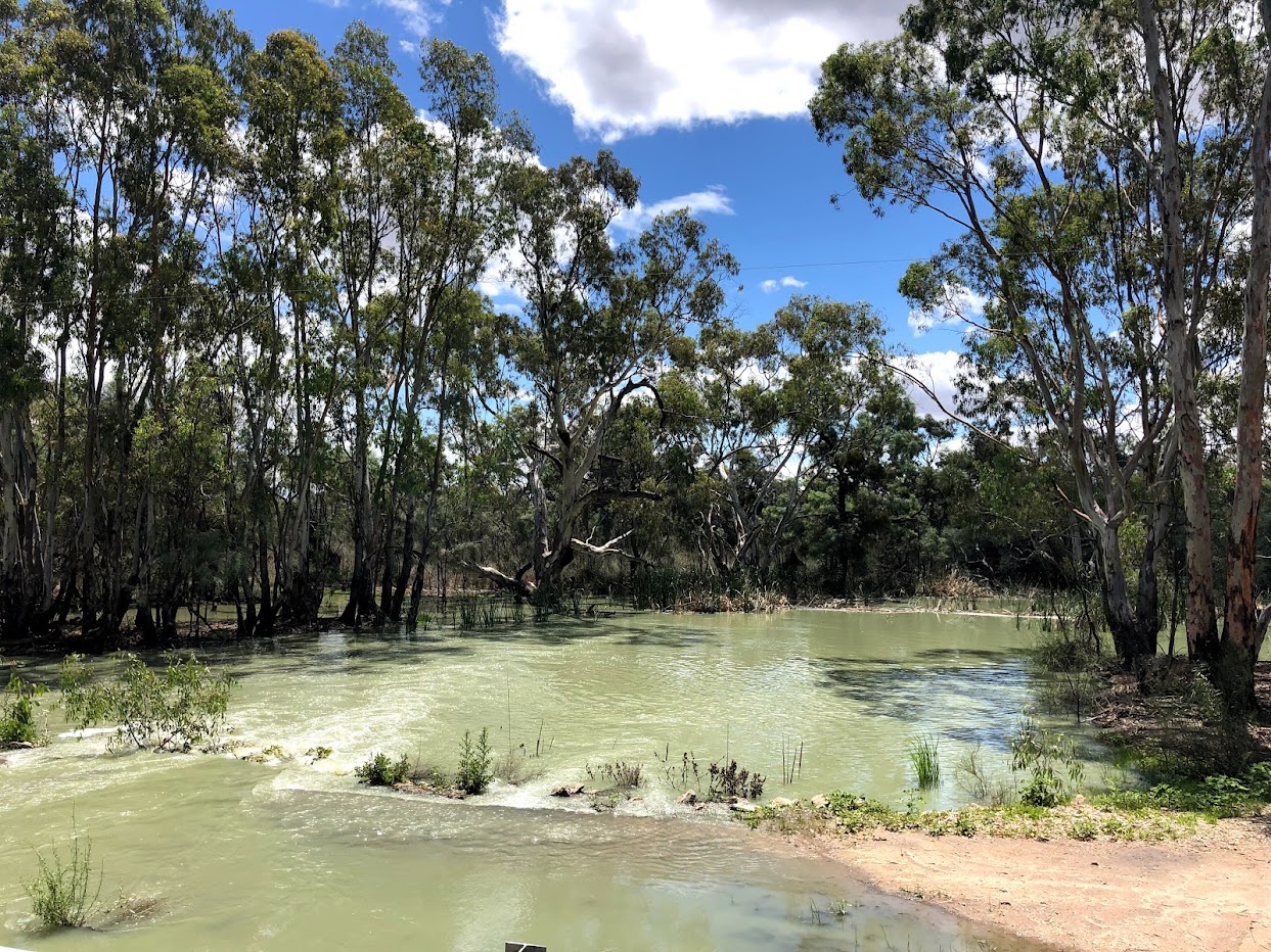 New Murrumbidgee Valley Floodplain Management Plan Commences: What it Means for Carrathool, Hay & Balranald River Users