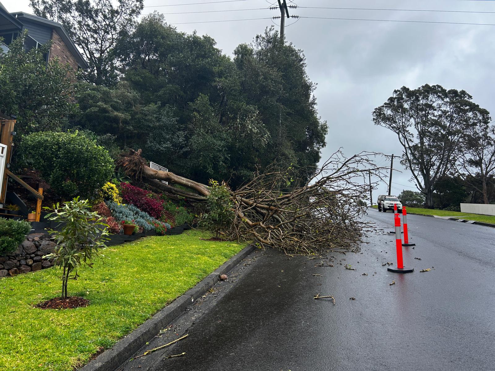 Illawarra, South Coast battered by heavy winds, rain storms overnight 