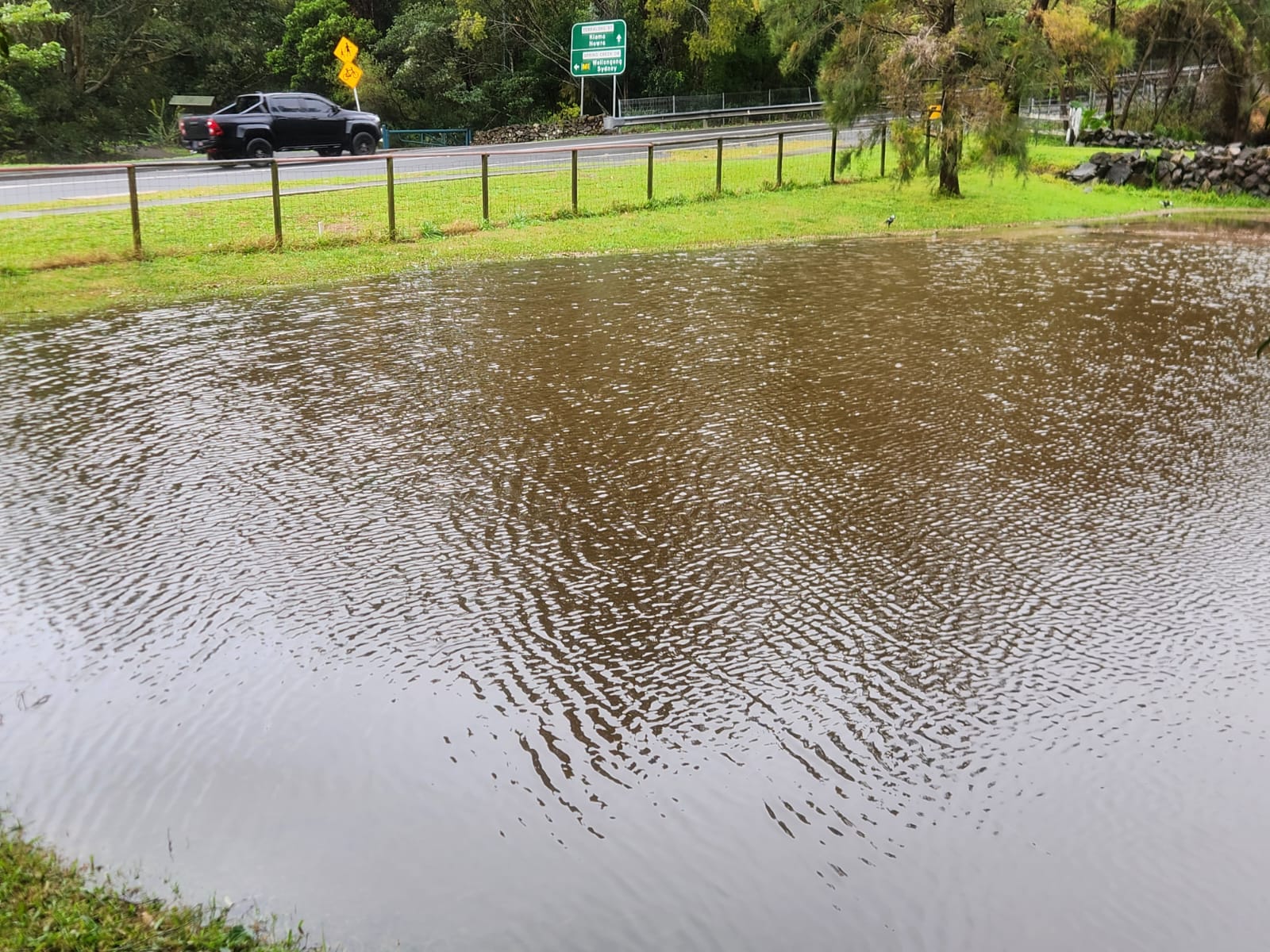 Rain eases in Illawarra, South Coast but strong winds continue