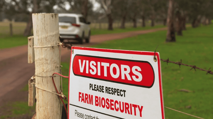 Boost for biosecurity and innovation welcomed by NSW Farmers