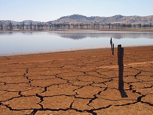  Hay teeters on the edge of drought