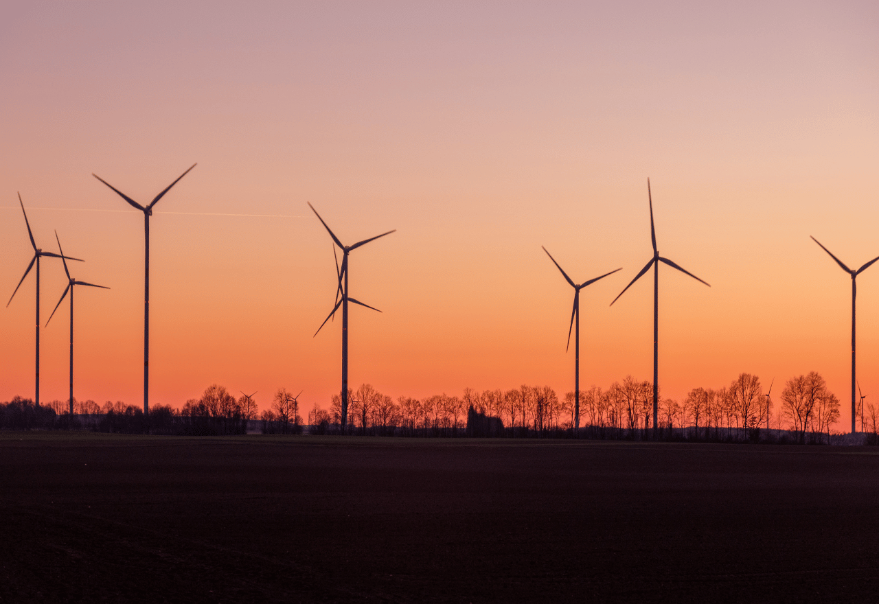 Ombudsman says consultation lacking on renewables projects