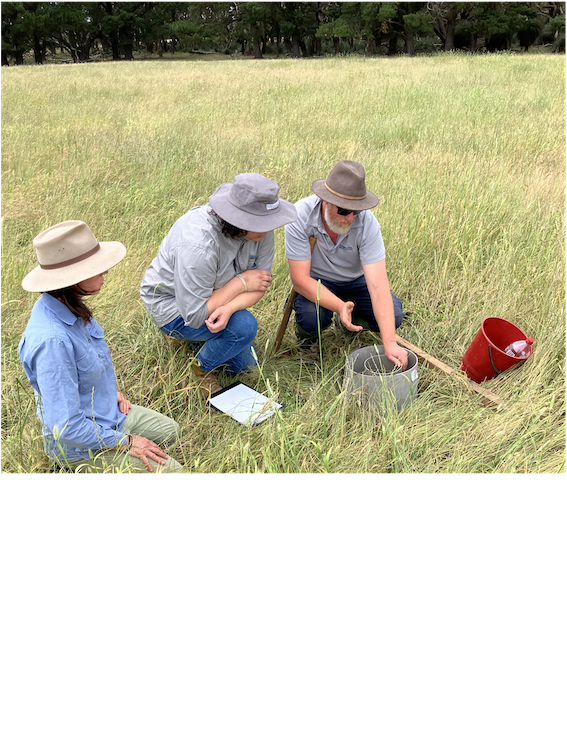 Fast tracking soil health with simple principles