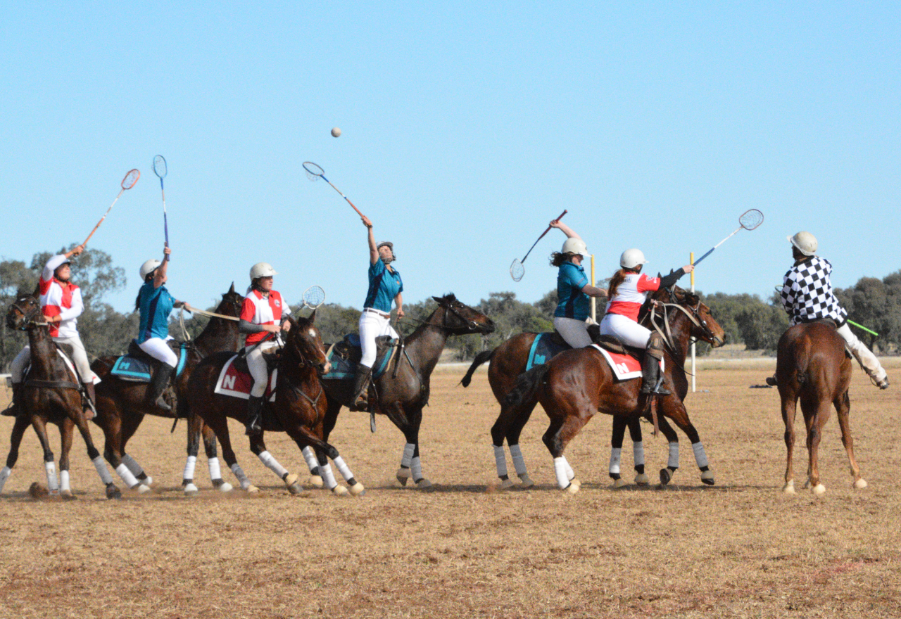 Quambone's polocrosse punches above