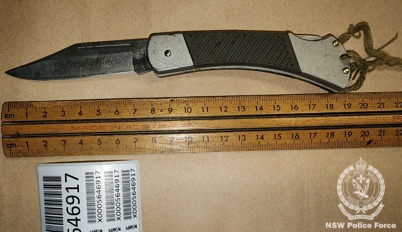 Drugs, knives seized after police use hand-held scanning wands 