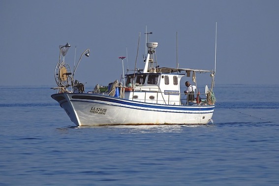 Fee relief for fishers impacted by algal bloom