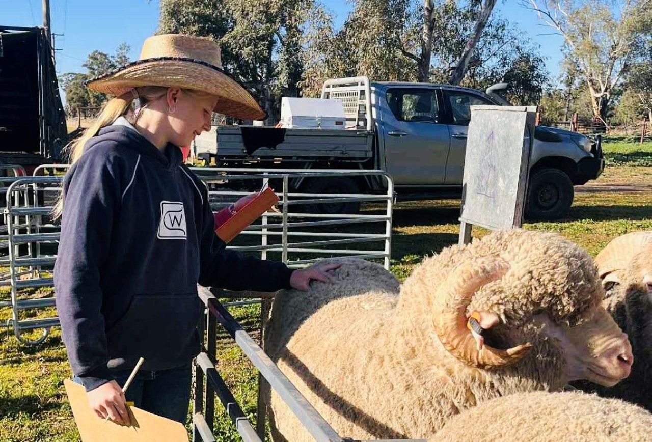 Local talent on show at Trangie's Junior Judging Day