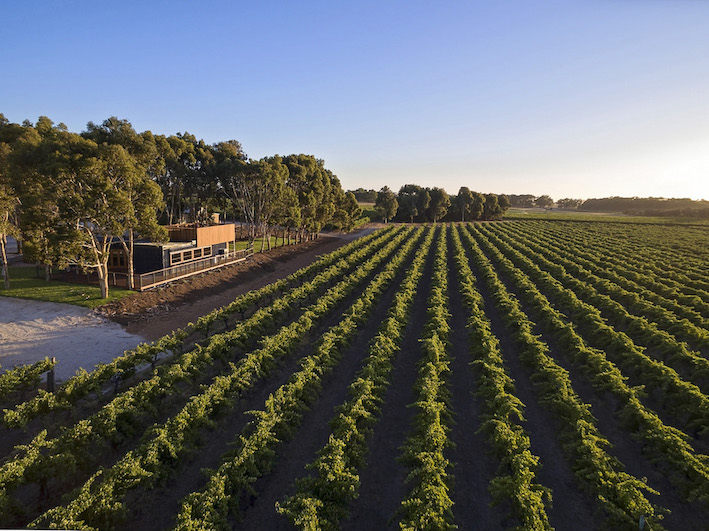Fleurieu Unearthed uncovers winter pleasures