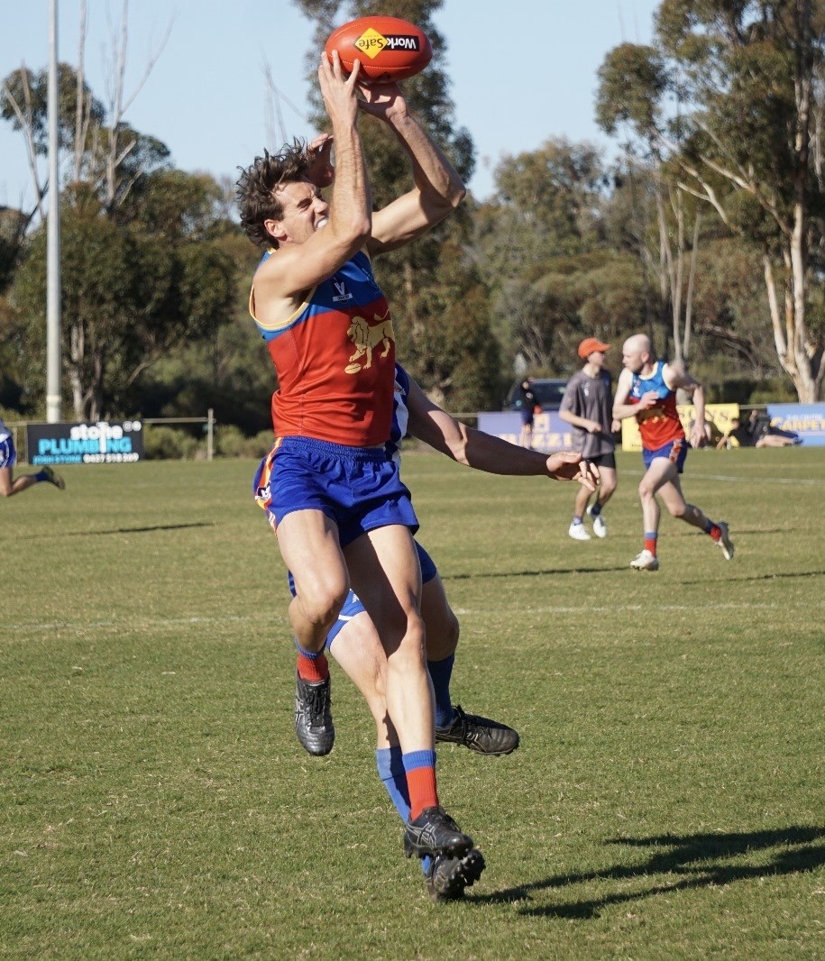 Mauling at the Lions' den