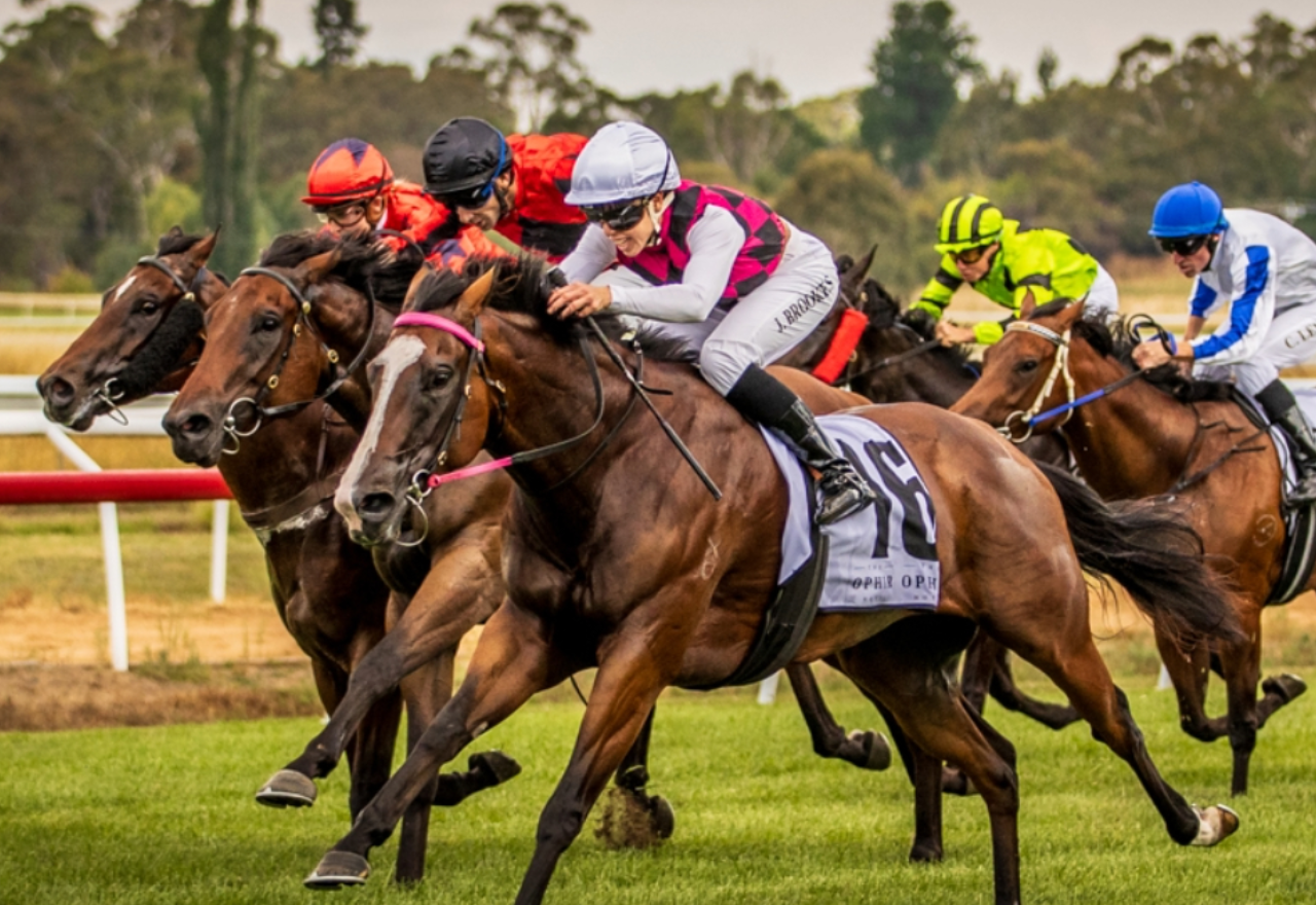 New work on Coonabarabran track has secretary excited