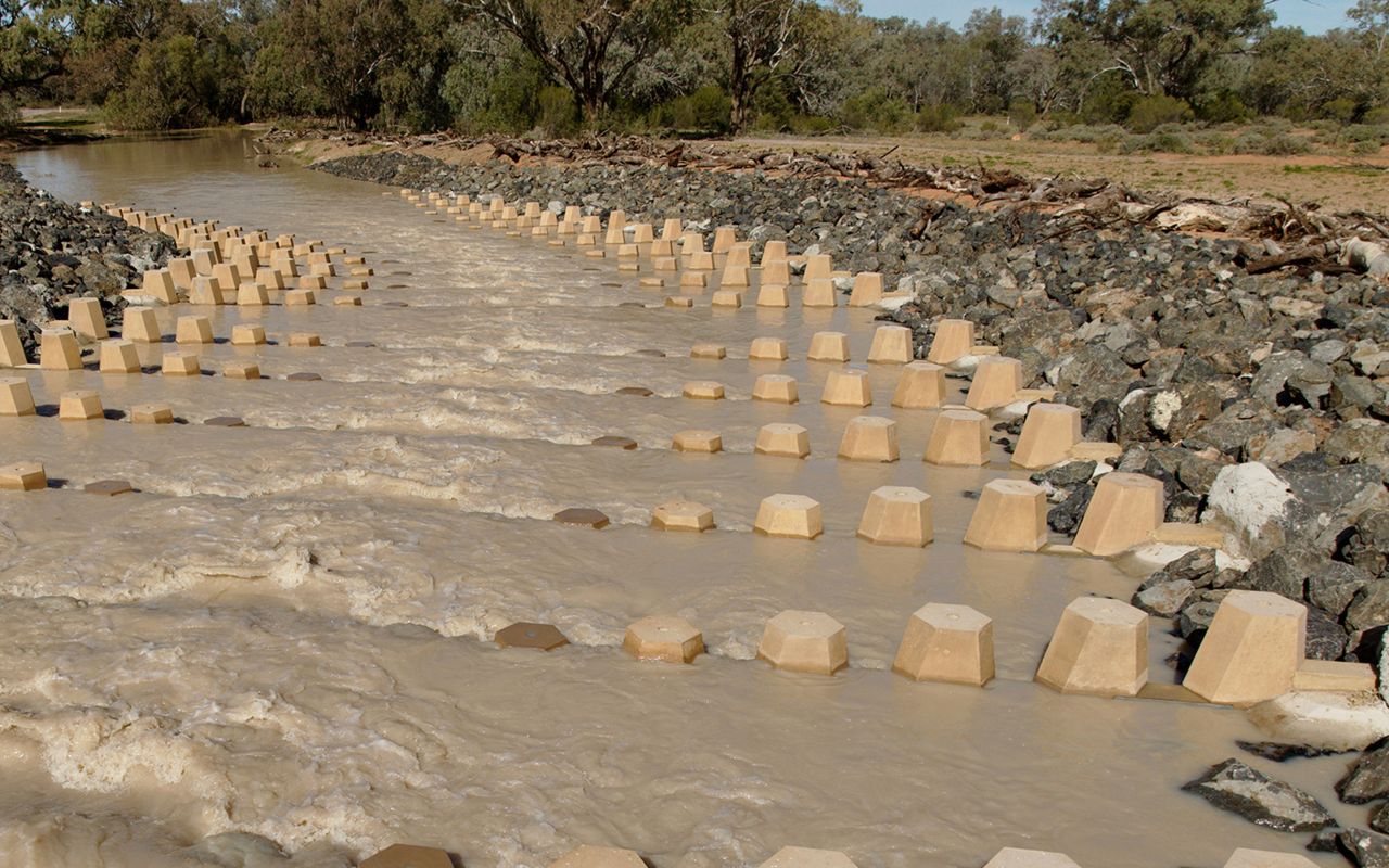 Government back-tracks on fish highways in the Central-Darling