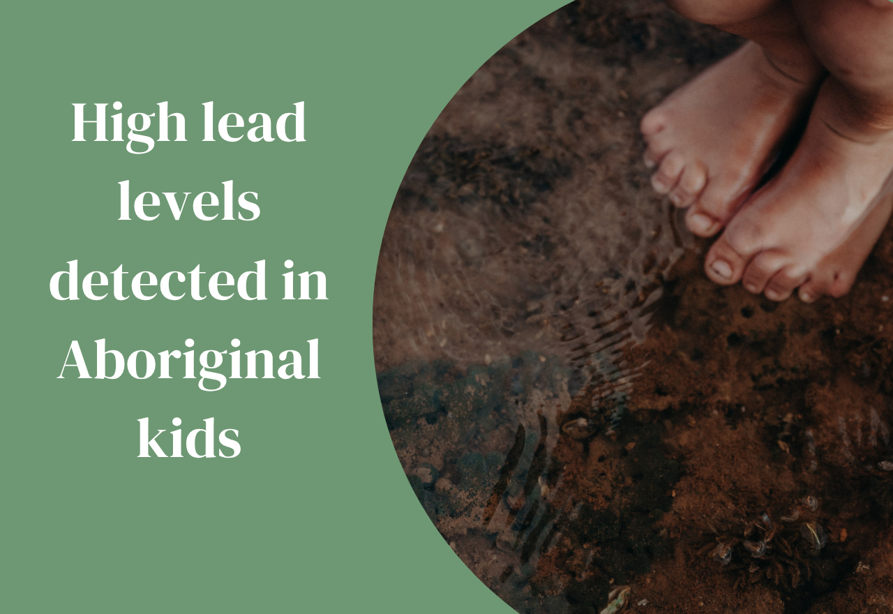 Lead in kids blood - Maari Maa calls for action