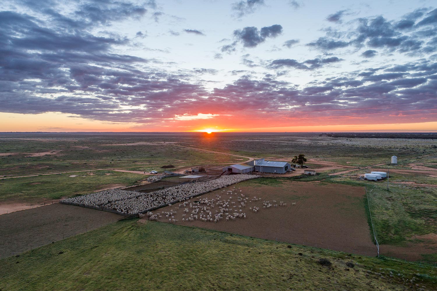 Australia's Agricultural Behemoth: Macquarie Puts Paraway Pastoral on the Block in Multi-Billion Dollar Sale