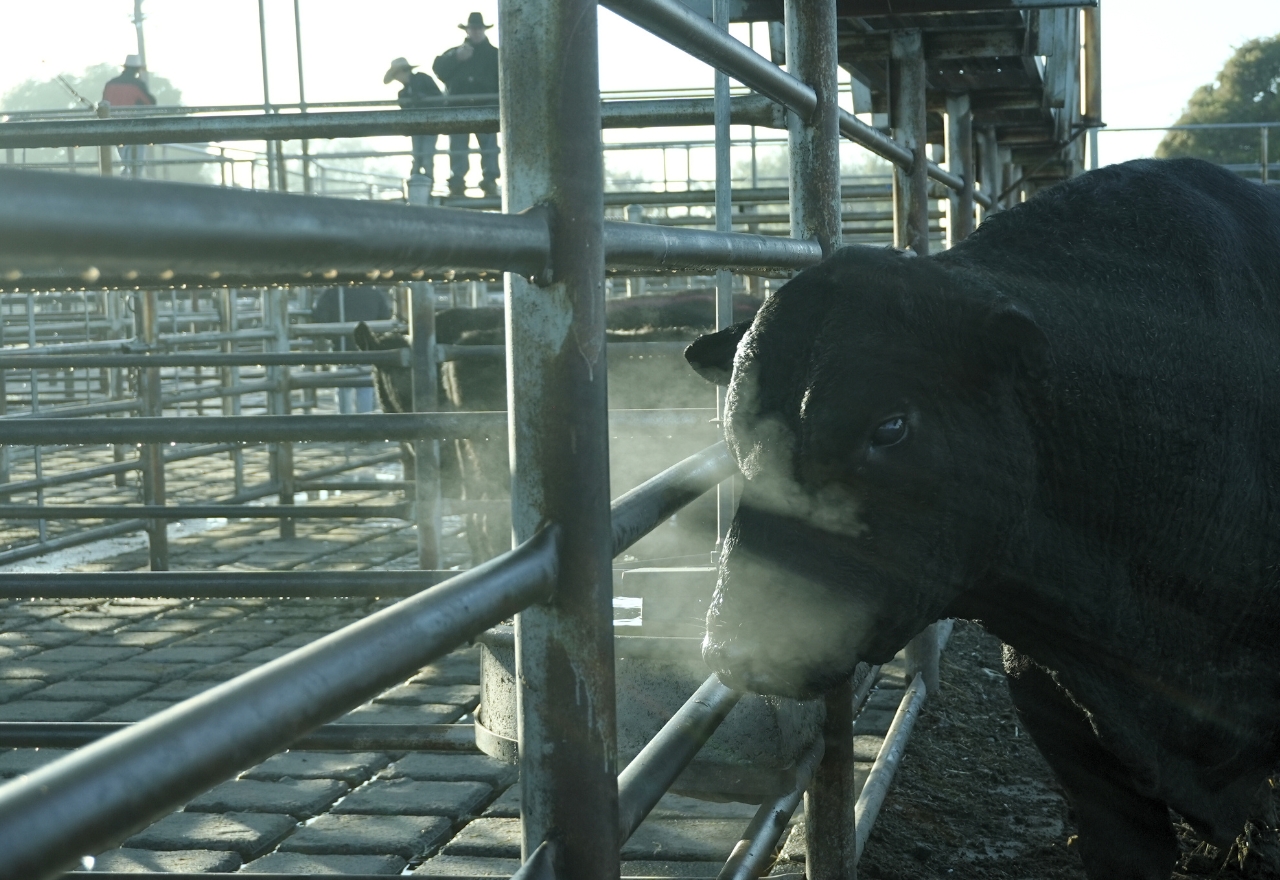 Locals report on NSW Farmers conference so far